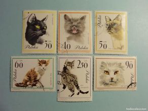 Timbres: POLONIA 1964 - ANIMALES - GATOS (SIAMES, EUROPEO, PERSA, DOMESTICO, ETC) - 6 VALORES.